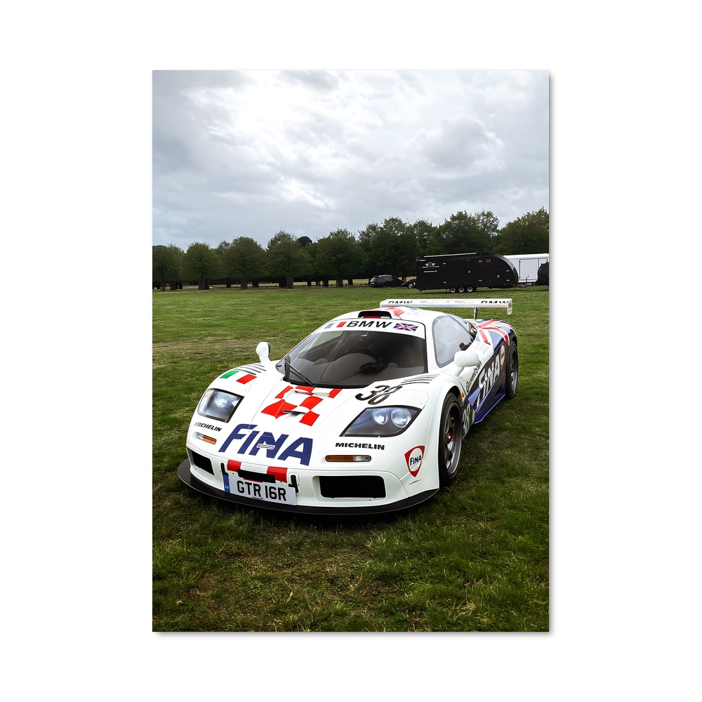 Poster F gtr magnifique